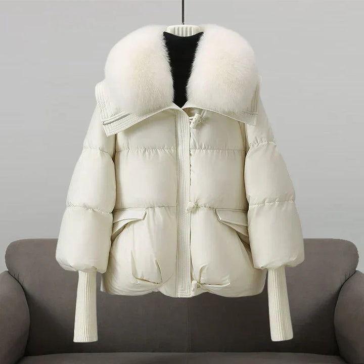 Vela - Veste