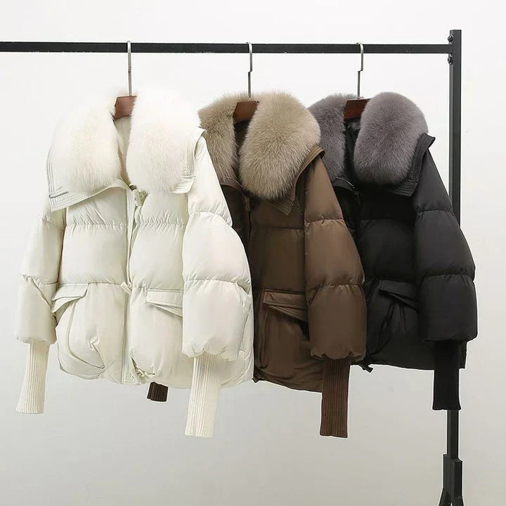 Vela - Veste