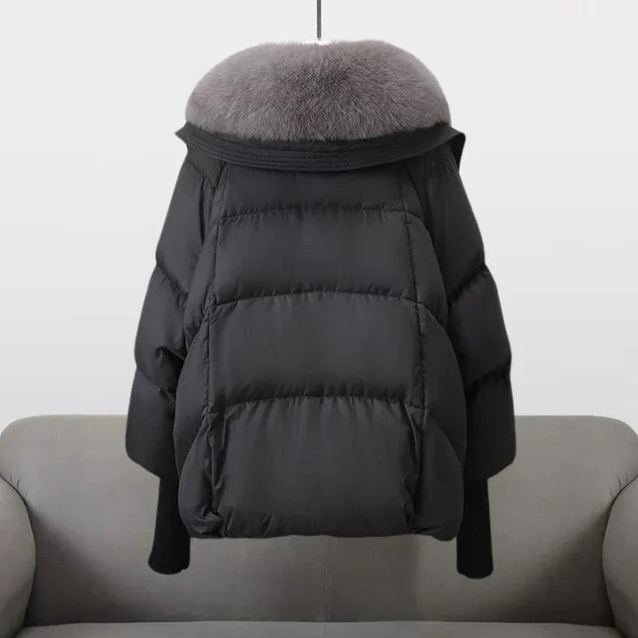 Vela - Veste